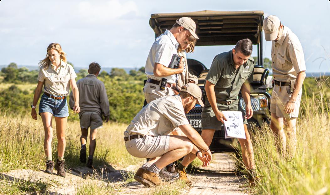 Work on a safari in Africa