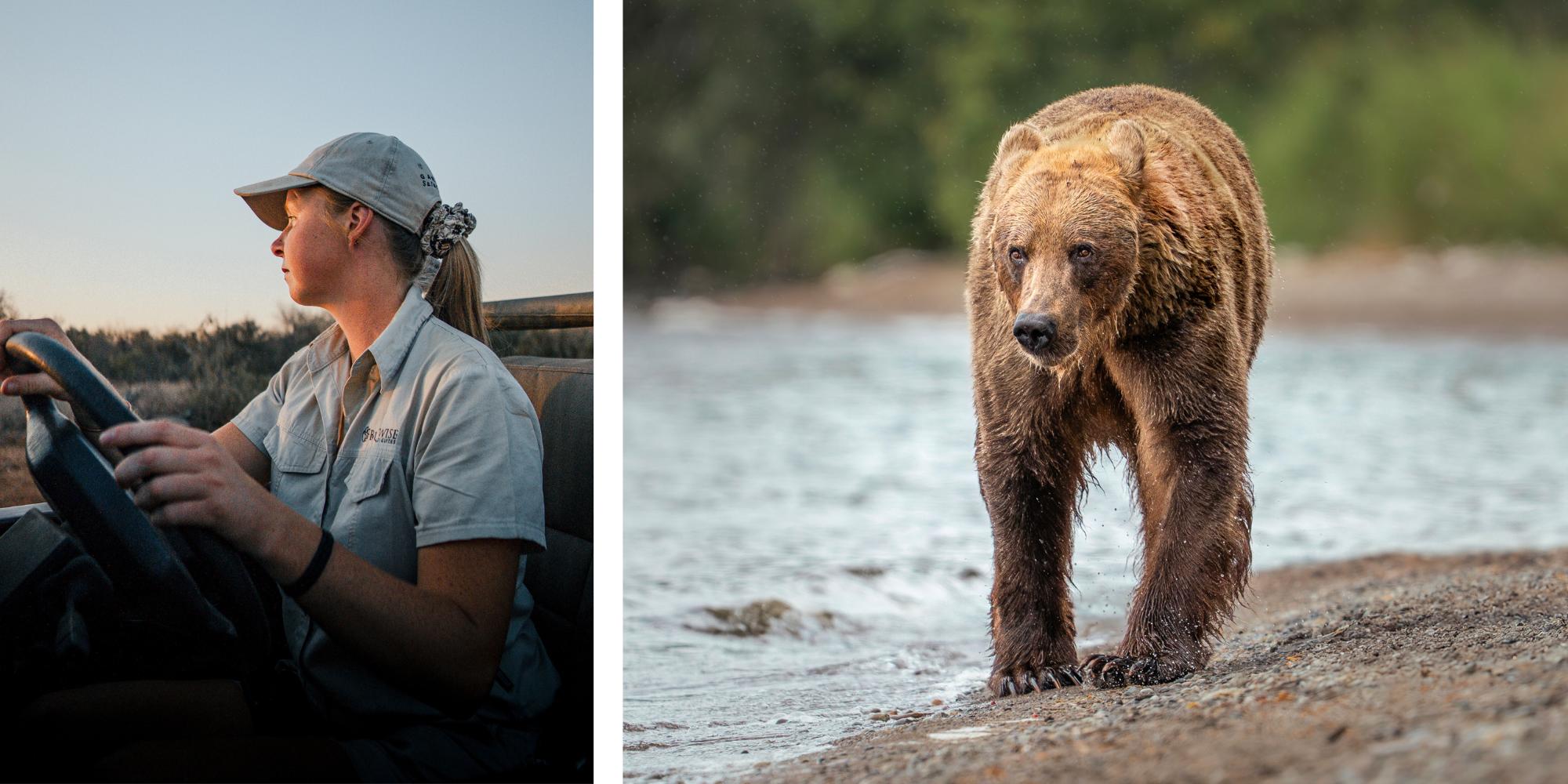 From African safaris to Alaska bears: My Bushwise journey