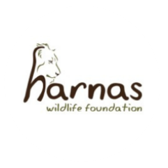 Harnas Wildlife Foundation