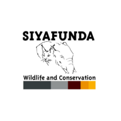 Siyafunda