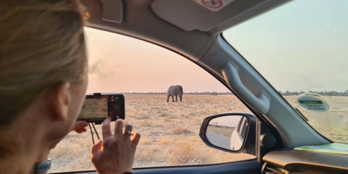 Going on an African safari