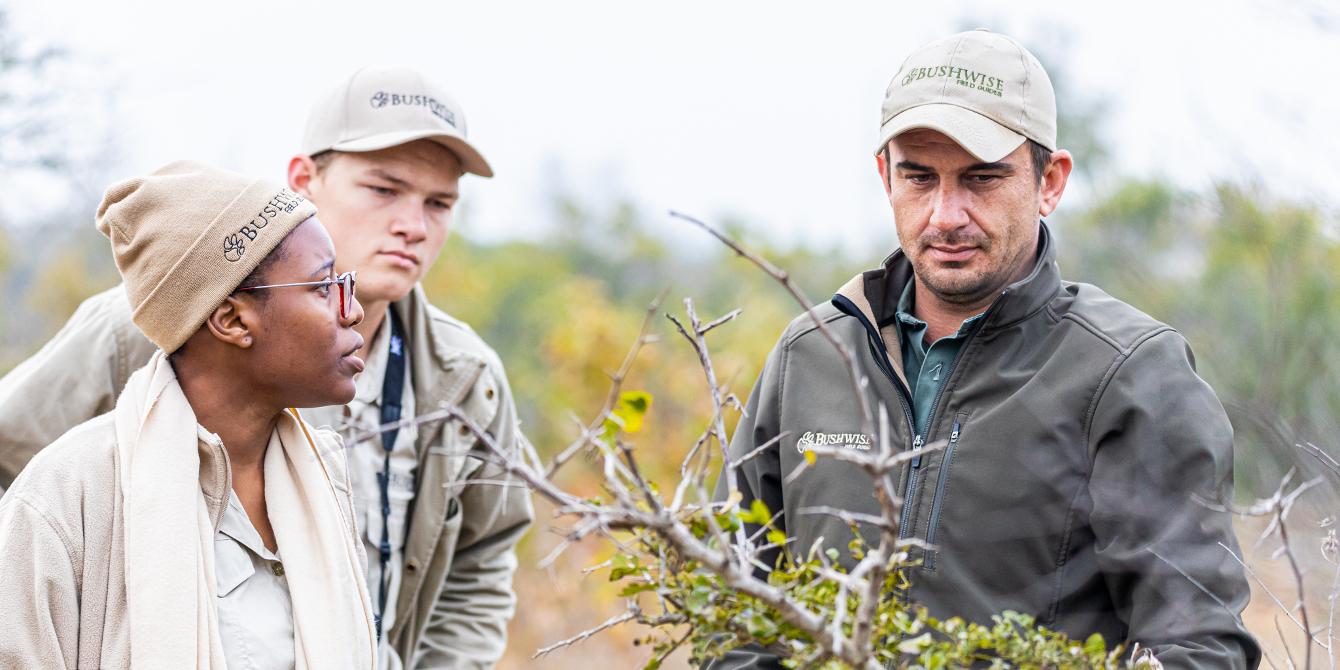 The best way to become a qualified field guide
