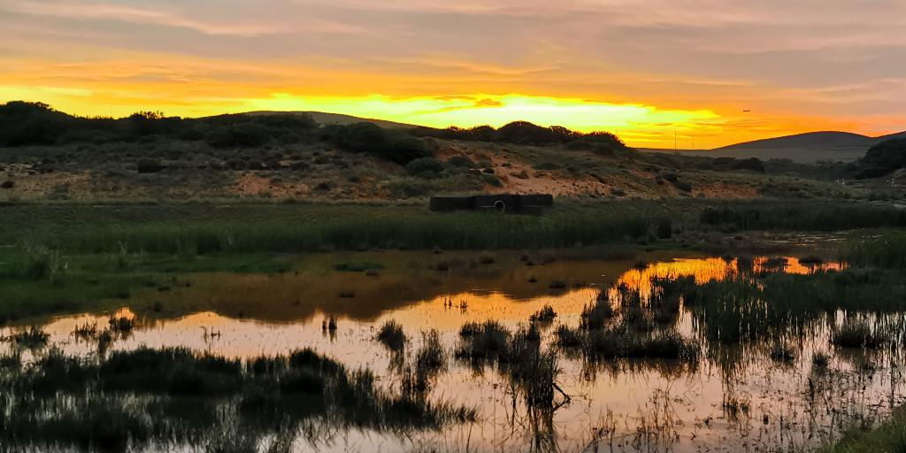 World Wetlands Day 2022: Wetlands Action for People and Nature