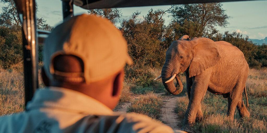 Why do a 60-day safari guide course?