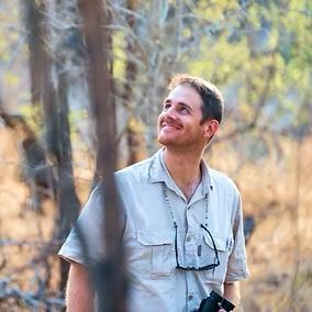 Safari industry expertise