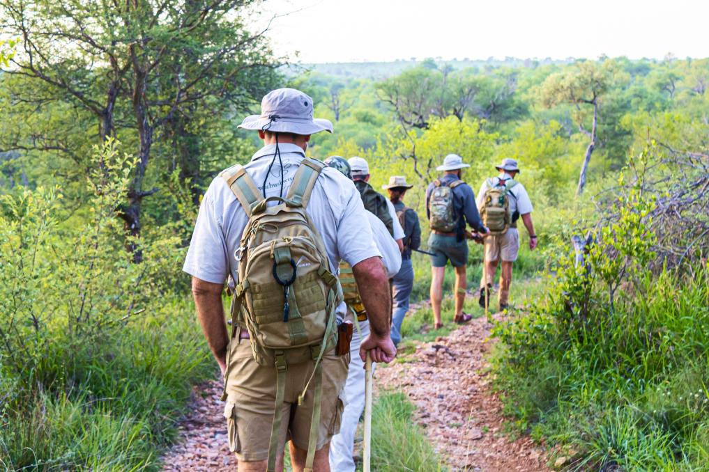 Field guide qualifications and associations in <span>South Africa</span>