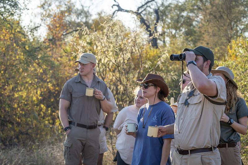 What qualifications do wildlife marketing professionals need?