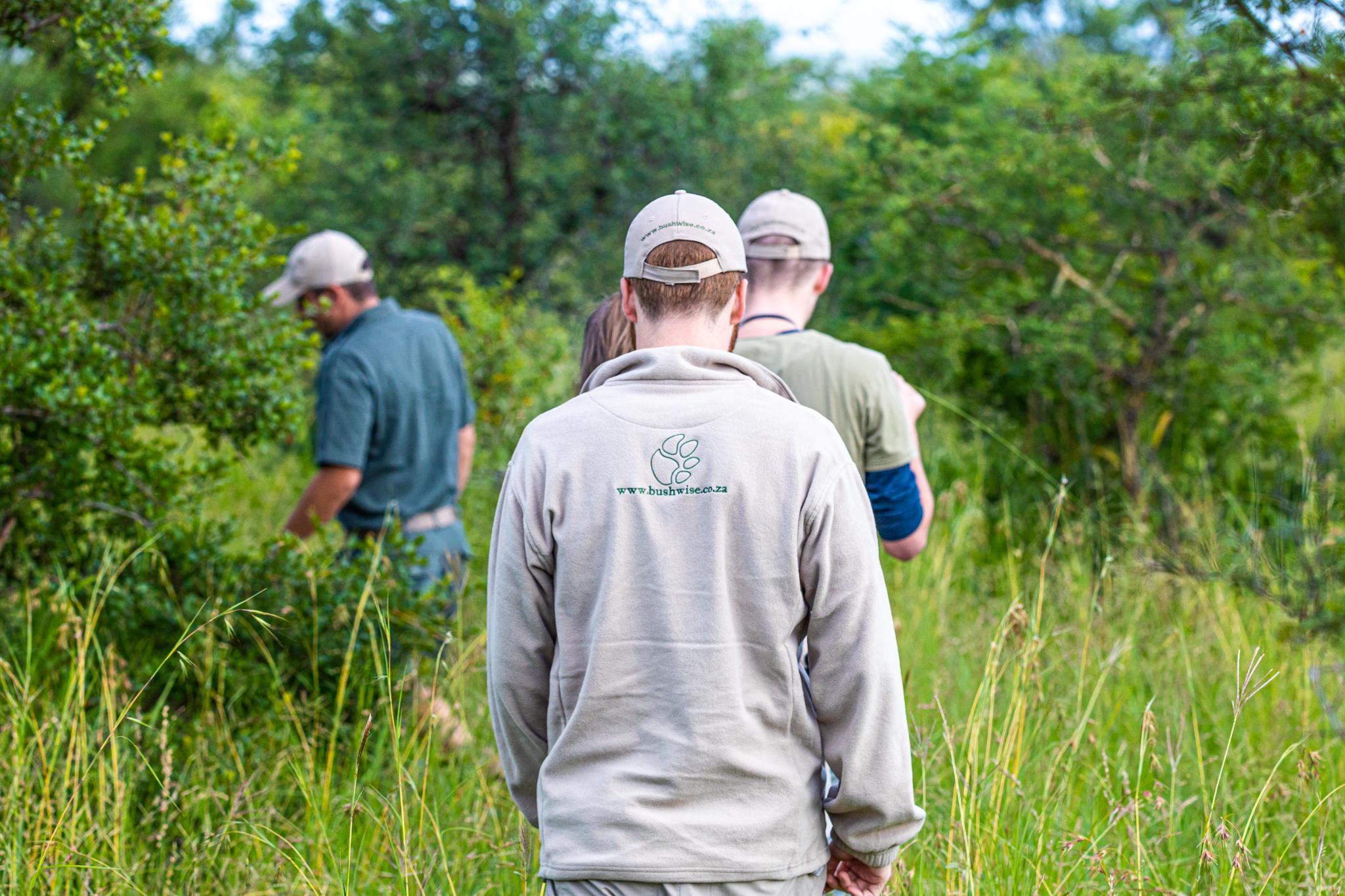 What is a trails guide?
