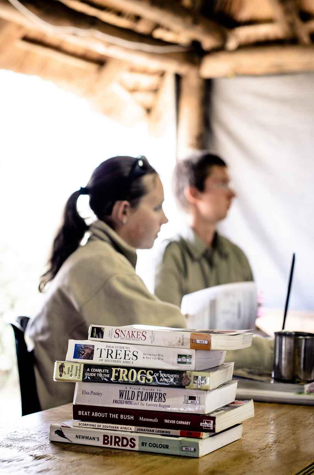 Safari industry expertise