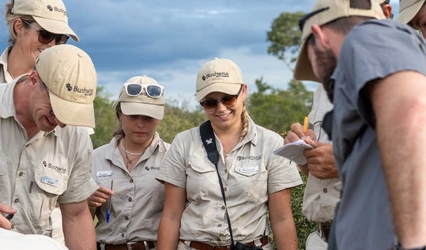 Safari Guide